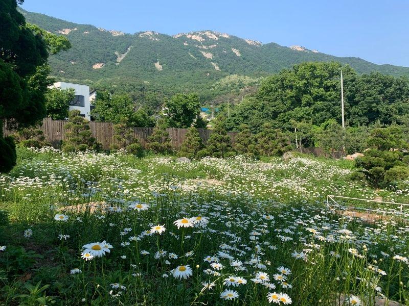 咖啡厅推荐 2025 韩国