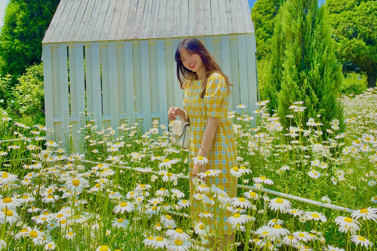 Dore Dore: Quán cà phê với vườn hoa daisy nổi tiếng nhất Ganghwado, Incheon