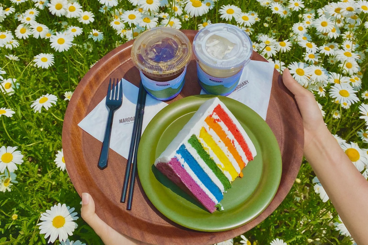 Dore Dore: Quán cà phê với vườn hoa daisy nổi tiếng nhất Ganghwado, Incheon