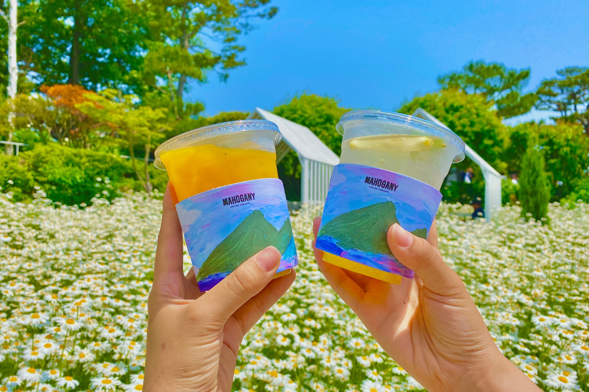 Dore Dore: Quán cà phê với vườn hoa daisy nổi tiếng nhất Ganghwado, Incheon