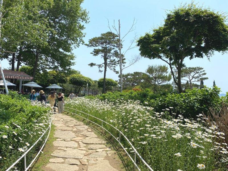 彩虹蛋糕 Dore Dore