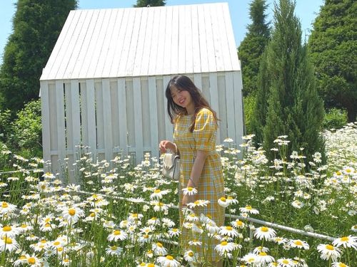 creatrip editor in yellow dress posing with daisies at cafe Dore Dore Ganghwado, incheon, south korea