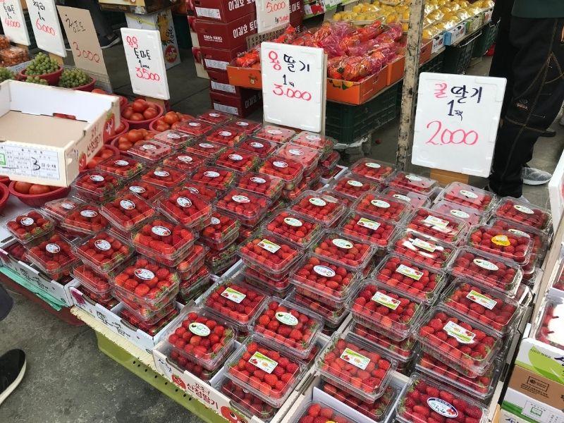 Tip để tiết kiệm tiền ăn khi sống ở Hàn Quốc, dâu tây ở hàn quốc