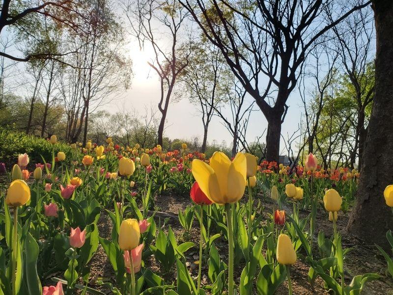 Tip để tiết kiệm tiền giải trí khi sống ở Hàn Quốc