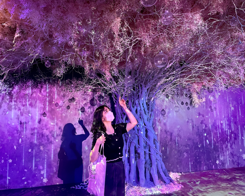 Girl pointing at cherry blossom tree at Flowers By Naked Hongdae