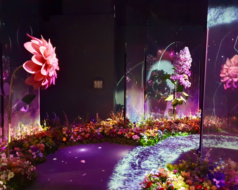 Flower path spring trail at Flowers By Naked Hongdae