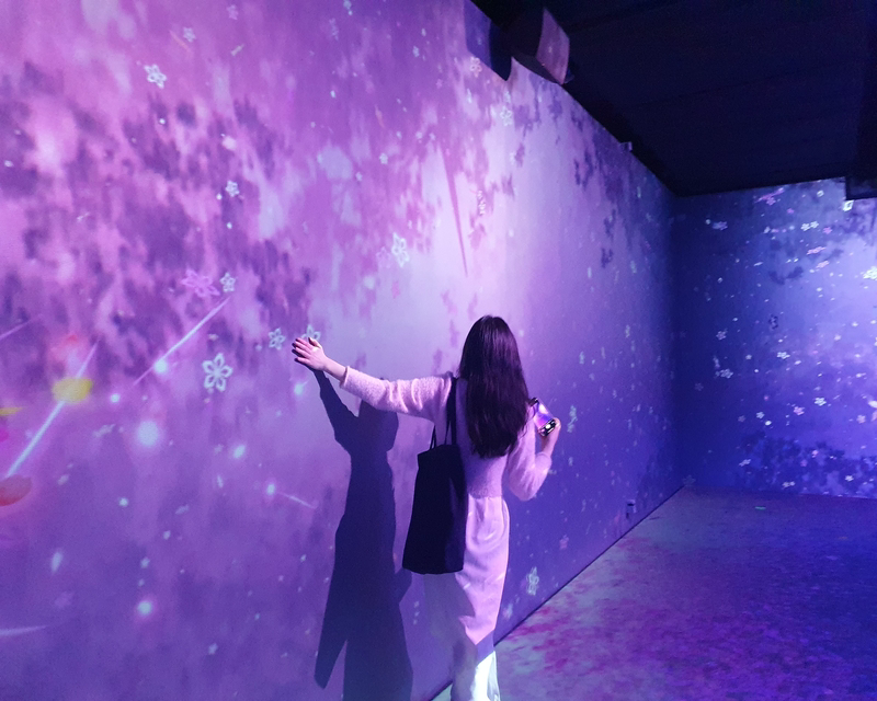 Girl walking with hand on the wall at Flowers By Naked Hongdae Cherry blossom exhibit