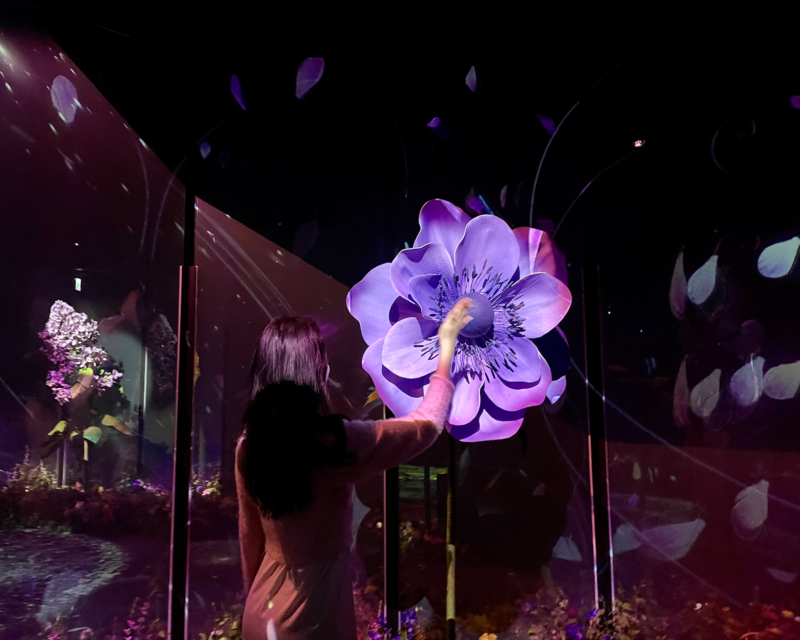 Petali di fiore fluttuanti nella zona Segreto del Giardino Segreto di Flowers By Naked Hongdae.