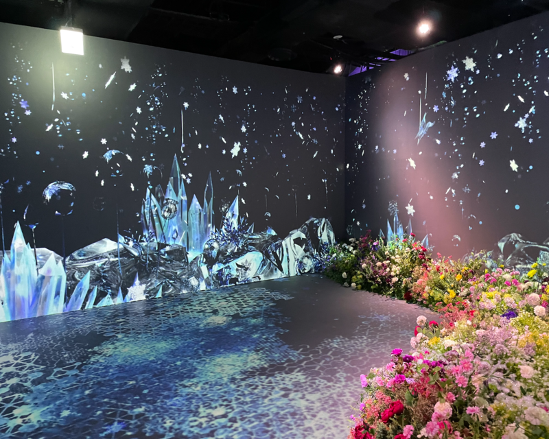 Esposizione dei fiori stagionali nella zona Big Book alla mostra Flowers By Naked Hongdae.