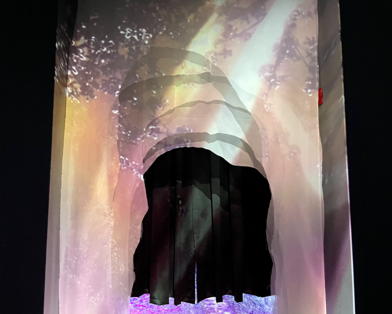 Ingresso con tende nere verso la zona Grande Giardino Fiorito di Flowers By Naked Hongdae.