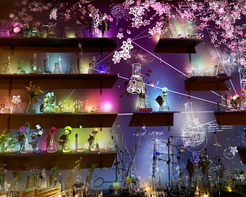 Secret of Secret garden flowers on shelf exhibition at Flowers By Naked Hongdae