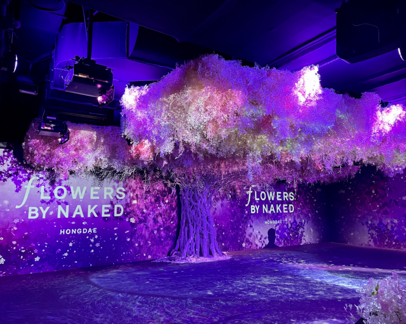 Cherry blossom tree Flowers By Naked Hongdae