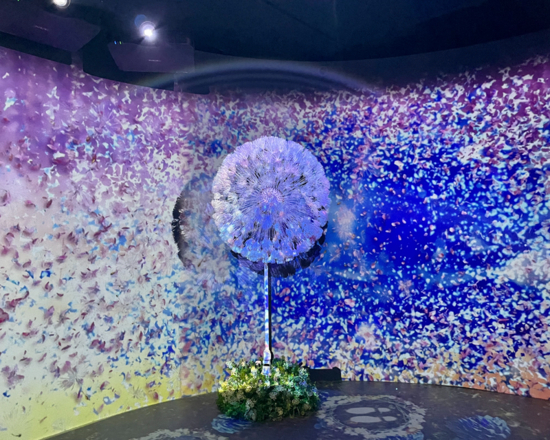 Giganti soffioni nella zona Dandelion della mostra di arte digitale Flowers By Naked Hongdae.