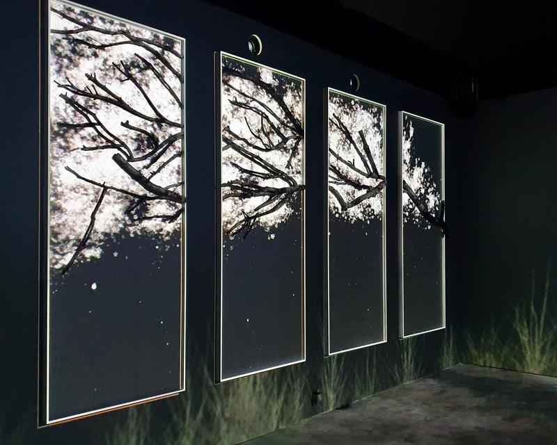 Esposizione digitale invernale nella zona Rilassati della mostra Flowers By Naked Hongdae.