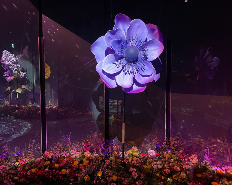 Grande fiore viola nella zona Grande Giardino Fiorito di Flowers By Naked Hongdae.