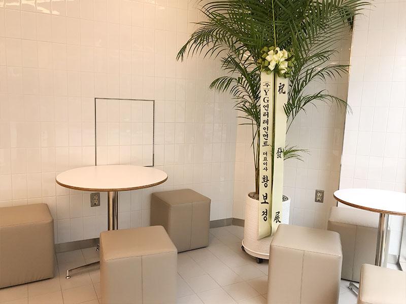 YG the SameE cafe two seating areas with a congratulations plant in the corner