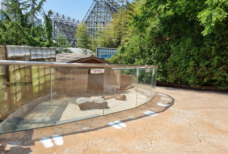 韓国文化、コロナ、韓国人、マスク、マスクストラップ、消毒、韓国のパン屋、社会的距離の確保、オリニデ公園