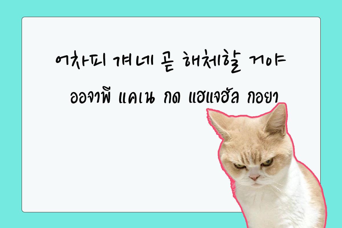 แฟนคลับ