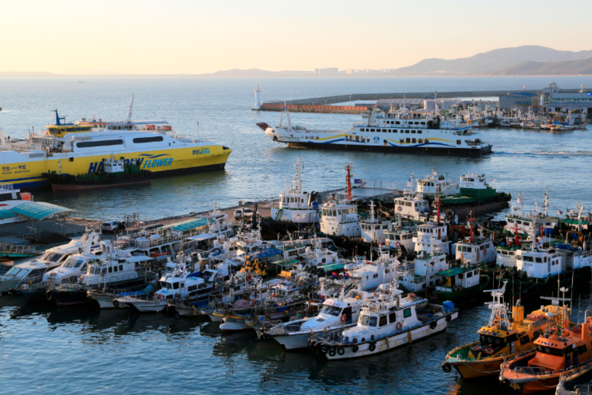 cảng biển ở Hàn cho thấy ngành công nghiệp đánh bắt cá biển ở Hàn phát triển 