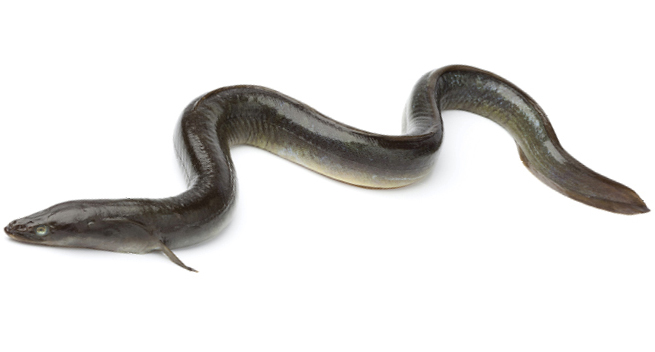 อาหารเกาหลี