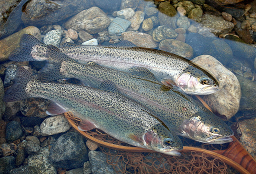 อาหารเกาหลี