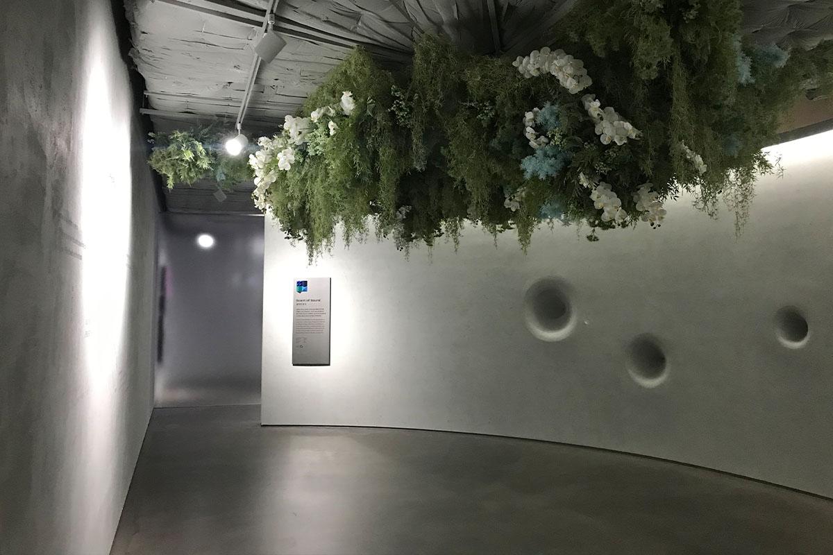 Museum exhibition featuring a hanging garden