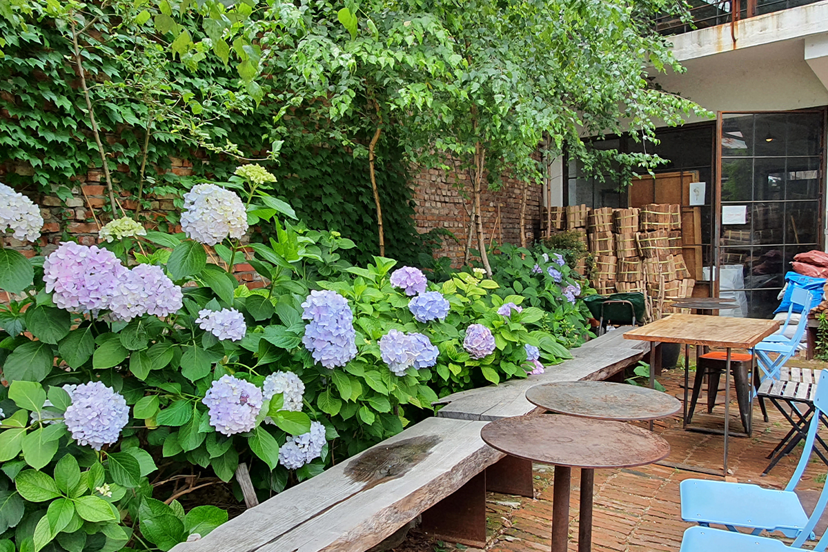 韓国、韓国カフェ、韓国旅行、韓国観光、大型カフェ、聖水、ソンス、おしゃれカフェ、ソウルの森、ハラボジ工場、ロケ地、韓国ドラマ、ヴィンチェンツォ