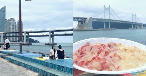 Minrak Waterside Park, Busan, Korea, sashimi, seafood picnic by ocean, Gwanganlli Beach