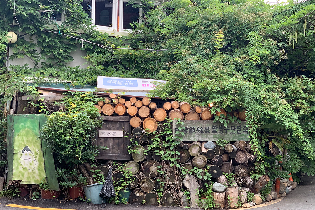 Bosung Green Tea | ข้อมูล