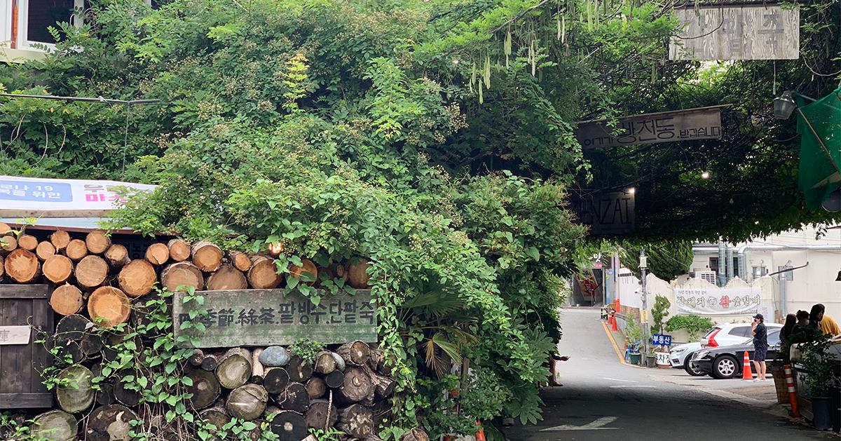 南川「寶城綠茶」探訪