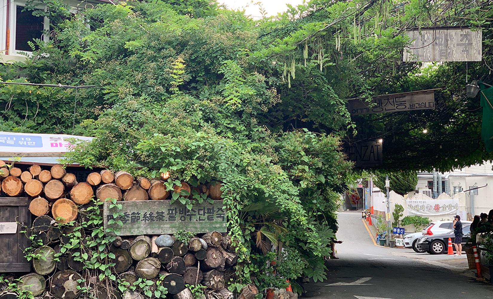 南川「寶城綠茶」介紹