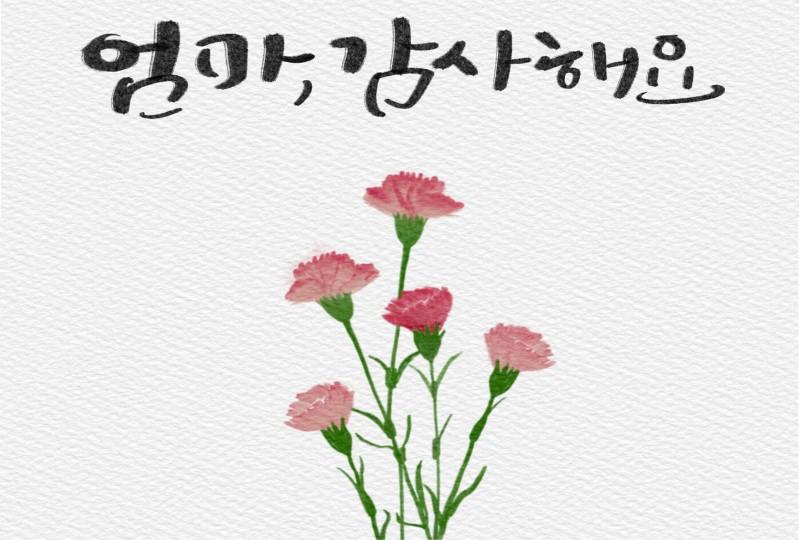 韓国、韓国人、韓国人ママ、オンマ、アッパ、皮膚管理、韓国エステ、ヨガ、ピラティス、運動