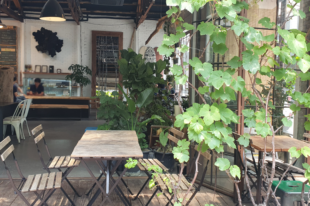 Seating area in outdoor garden area of cafe