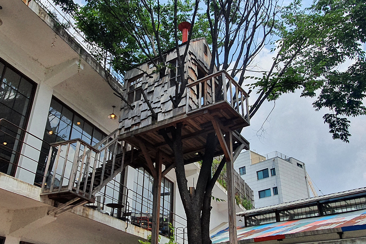 Treehouse located in garden terrace area of cafe