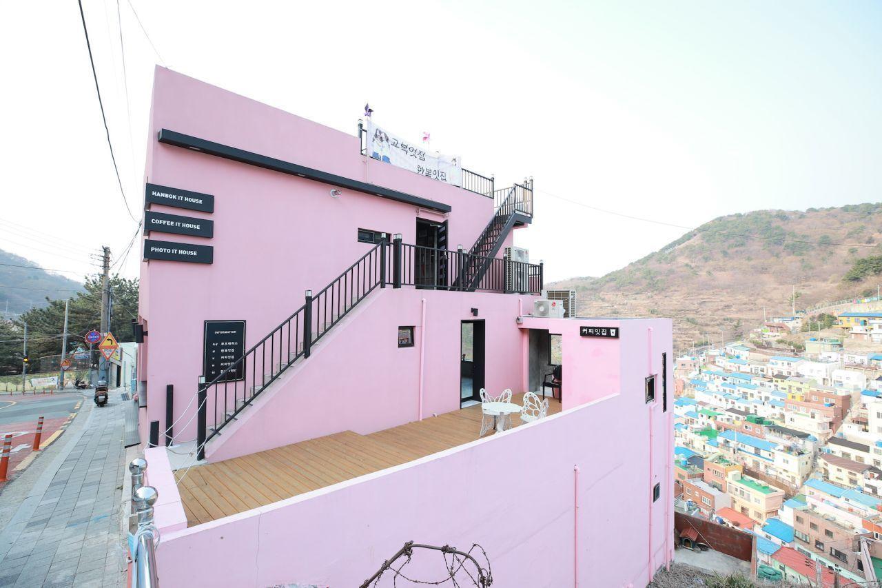 Gamcheon соёлын тосгоны кофе шопын дотоод орчин, тухтай тохьтой ширээн дээр зогсож үйлчилгээ үзүүлж байна.