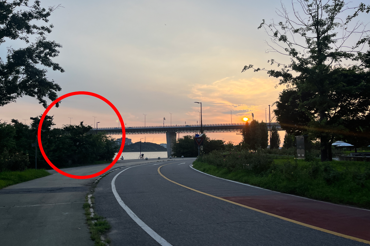 韓国、韓国旅行、韓国観光、ソウル、ソウル旅行、韓国グルメ、ソウルグルメ、Waikiki Market、ワイキキマーケット、バーベキュー、韓国焼肉、水上レジャー、スピードボート体験、韓牛、漢江、ハンガン