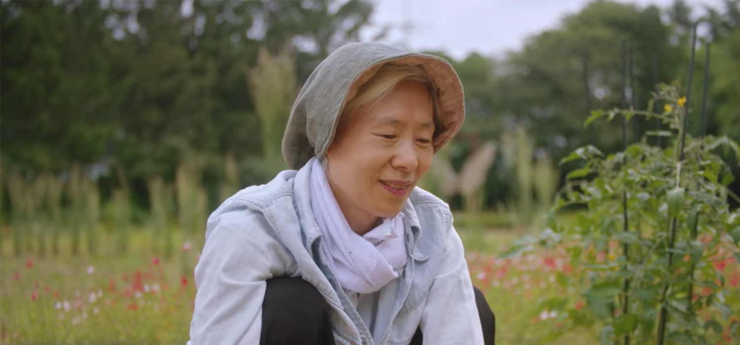 坡州的碧草池文化樹木園，作為《上流世界》的拍攝場地