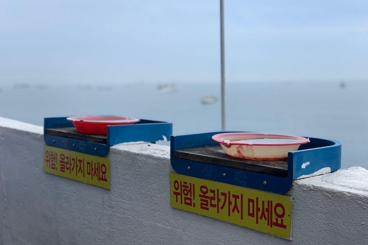 Outdoor seating at Huinnyeoul Jeombbang