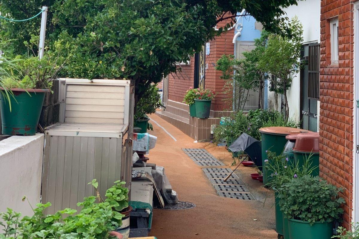 cute alley way at Huinnyeoul Jeombbang