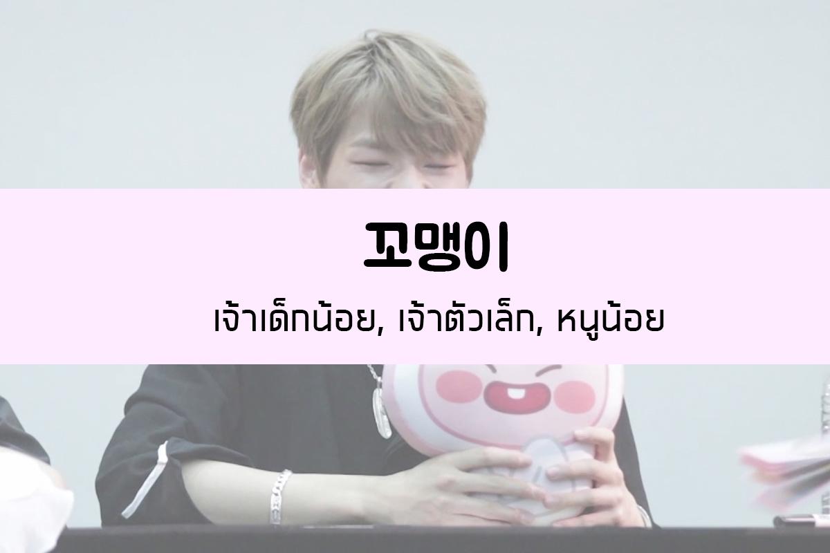 꼬맹이 = เจ้าเด็กน้อย, เจ้าตัวเล็ก, หนูน้อย