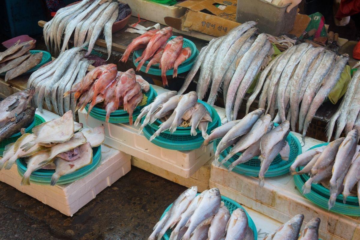 Fresh seafood displayed outdoors of Jagalchi Market Busan
