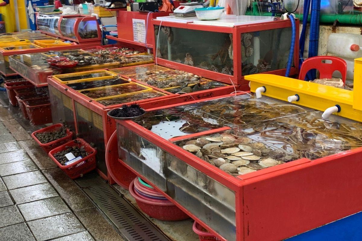 札嘎其市场 推荐 海鲜市场