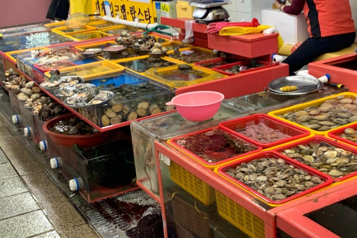 Fresh seafood on display at Jagalchi Market Busan