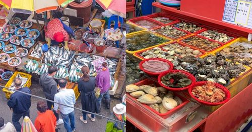 ตลาดปลาจากัลชี | ตลาดอาหารทะเลที่ใหญ่ที่สุดในปูซาน!
