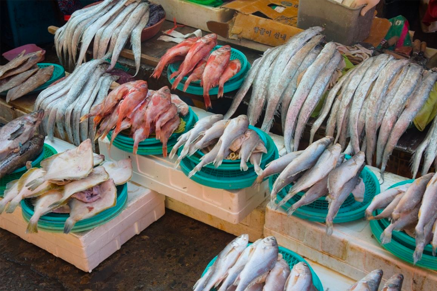 釜山 海鲜市场 札嘎其市场 2025