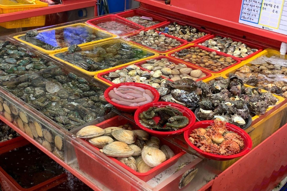 釜山海鲜 札嘎其市场