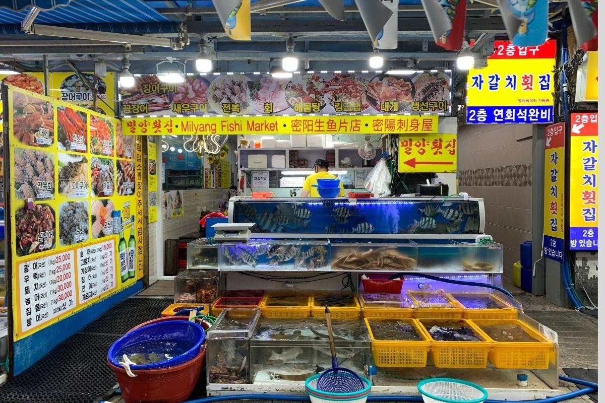 seafood restaurant outside of Jagalchi Market Busan