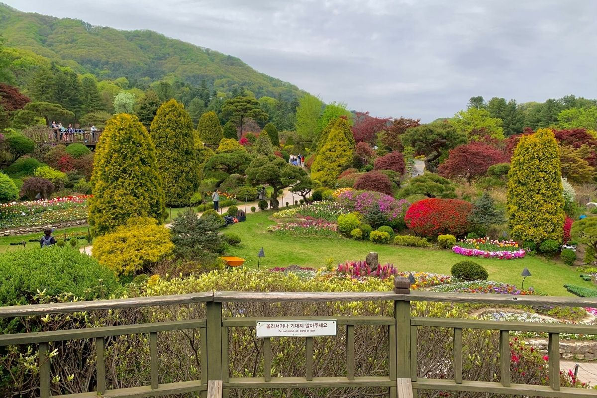 du lịch hàn quốc Vườn The Garden of Morning Calm ở Gapyeong