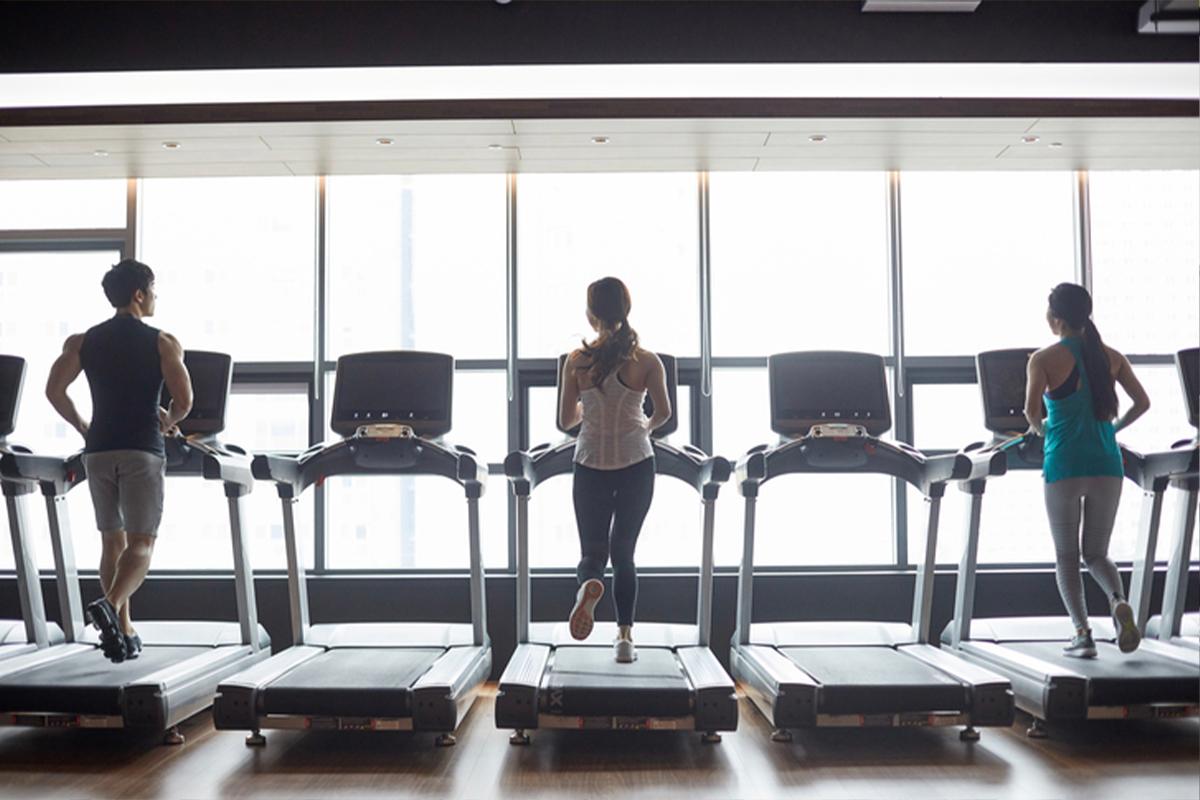 健身房內，有三個人正在跑步機上鍛鍊，窗外並有自然光線透入，呈現現代化的運動環境。