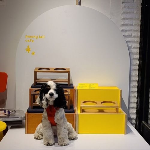 Creatrip 愛犬と一緒に行けるソウルのカフェまとめ Creatrip 愛犬と一緒に行けるソウルのカフェまとめ